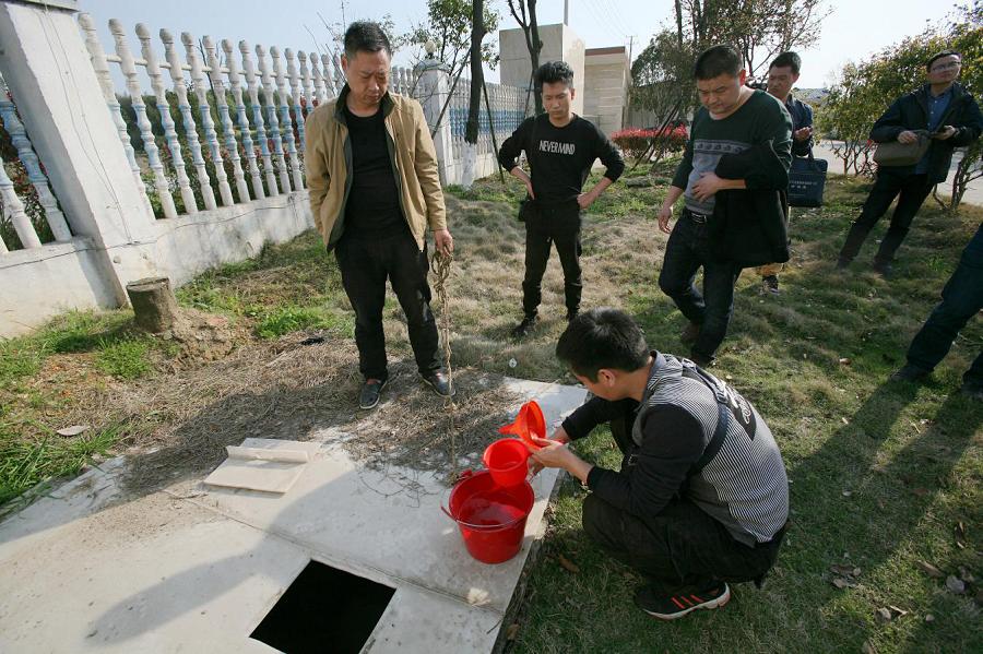 今期狗猴龙出特,四不两立长恨丽代表是指什么生肖，全面释义、构建解答解释落实